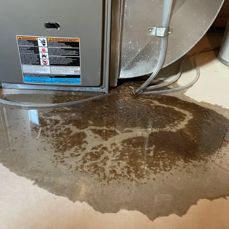 Appliance Leak Cleanup in Ketchikan, AK